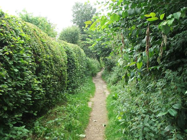 Image, UK, England, Derbyshire, public foot path between Shirebrook and Pleasley Park