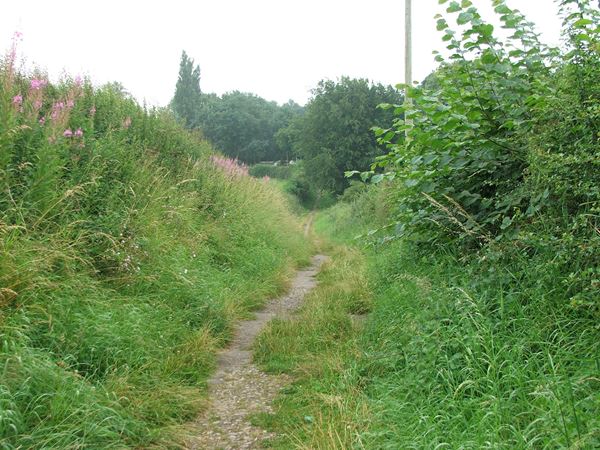 Image, UK, England, Derbyshire, public foot path between Shirebrook and Pleasley Park