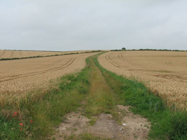 Image, UK, England, Derbyshire, the road between Pleasley Vale and Mansfield Woodhouse