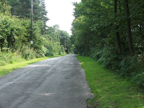 Image, UK, England, Notts, Eakring Road between Mansfield Woodhouse and Sherwood Pine Forest