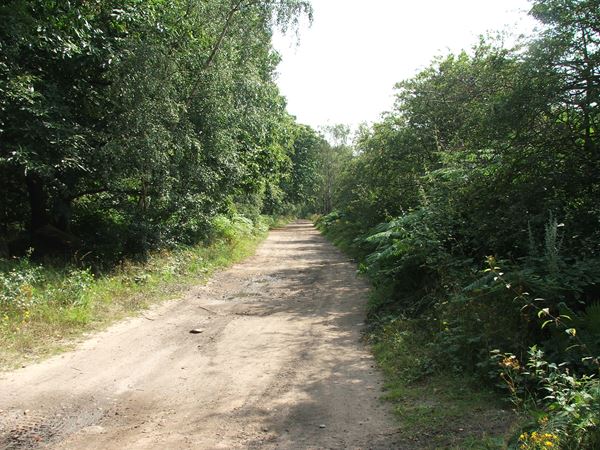 Image, UK, England, Notts, Eakring Road between Mansfield Woodhouse and Sherwood Pine Forest