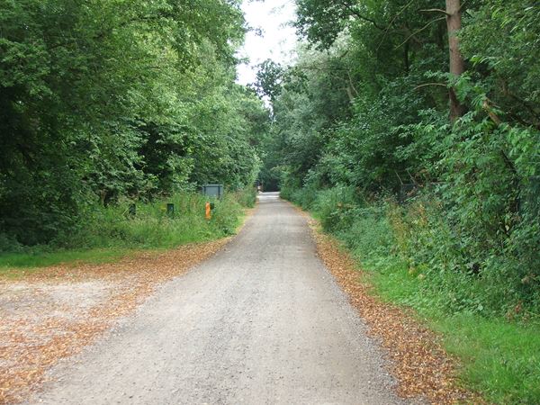 Image, UK, England, Notts, the road between Sherwood Pine Forest and Rufford