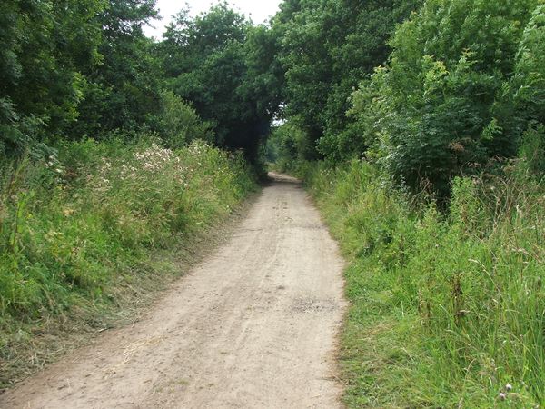 Image, UK, England, Notts, public foot path between Bath Lane Farm and Woodland Farm