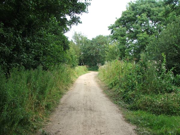 Image, UK, England, Notts, public foot path between Bath Lane Farm and Woodland Farm