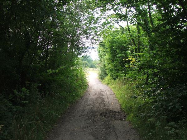Image, UK, England, Derbyshire, public foot path between Bath Lane Farm and Woodland Farm