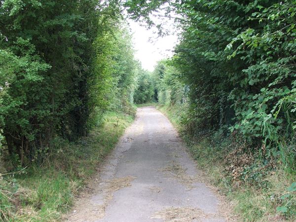 Image, UK, England, Derbyshire, public foot path between Bath Lane Farm and Woodland Farm
