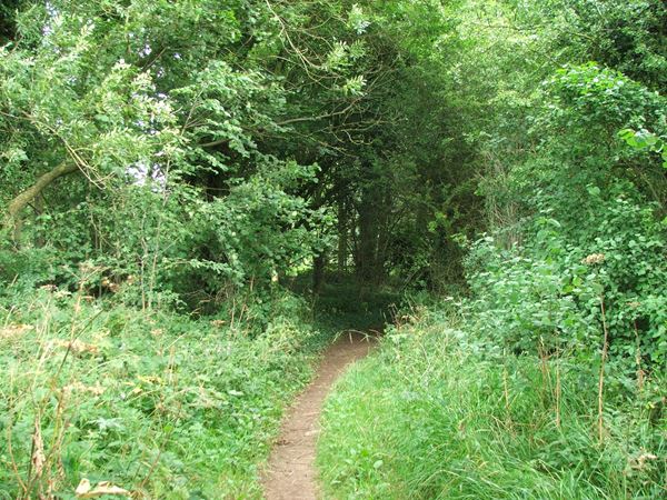 Image, UK, England, Derbyshire, Archaeological Way South approach to the Scarcliffe Park