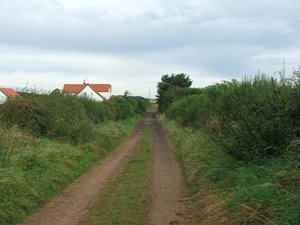 Image, UK, England, Derbyshire, Archaeological Way between Whaley and Frithwood Farm