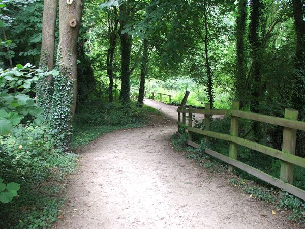 Image, UK, England, Notts, Creswell Crags