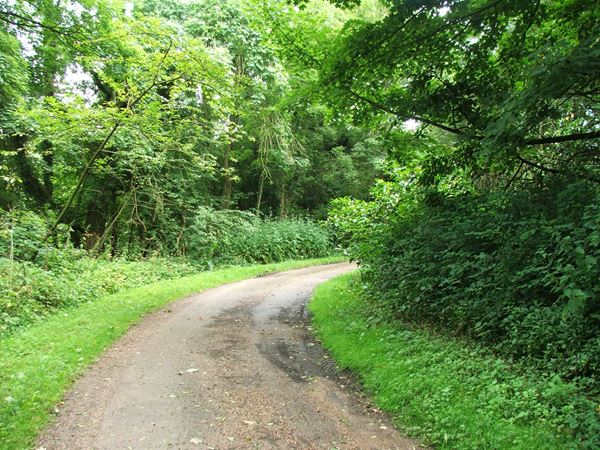 Image, UK, England, Notts, Robin Hood Way, the North of the Welbeck Abbey