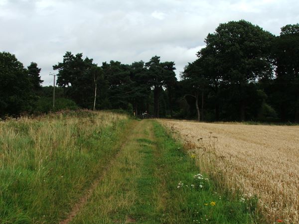 Image, UK, England, Notts, Robin Hood Way between Welbeck Abbey and South Lodge