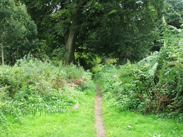 Image, UK, England, Notts, Welbeck Park, Robin Hood Way (Drinking Pit Lane)