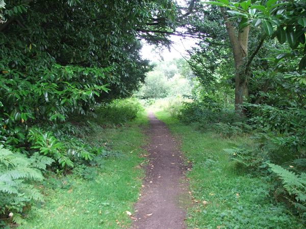 Image, UK, England, Notts, Welbeck Park, Robin Hood Way (Drinking Pit Lane)
