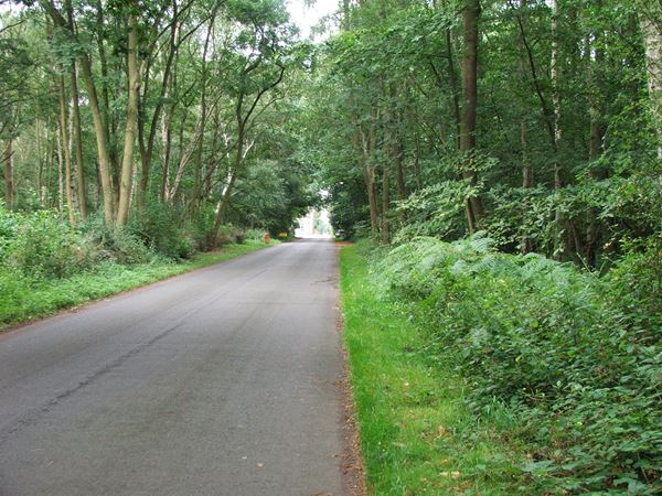 Image, UK, England, Notts, Robin Hood Way between Ollerton Road and Truman’s Lodge (Clumber Park)