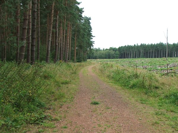 Image, UK, England, Notts, the North West corner of the Clumber Park