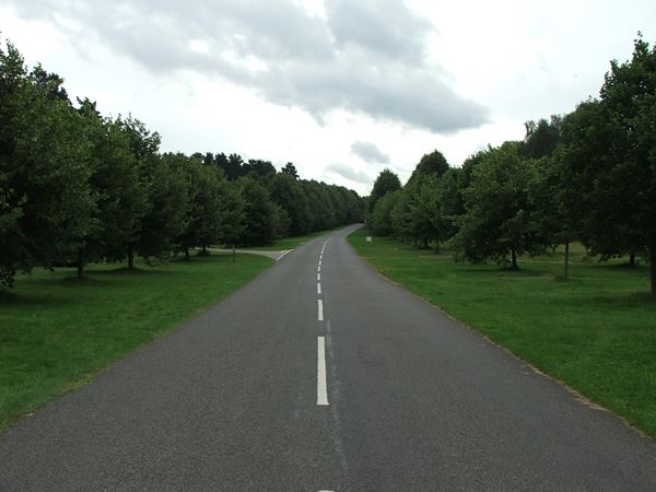 Image, UK, England, Notts, Clumber Park, route 6 between Limetree Avenue and Clumber Bridge