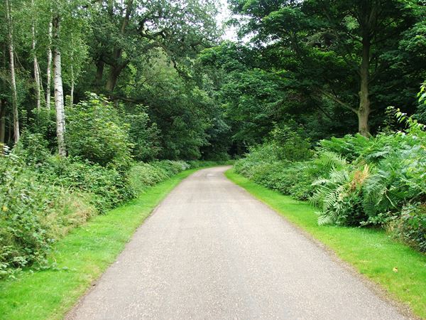 Image, UK, England, Notts, Clumber Park, route 6 between Clumber Bridge and South Lodge