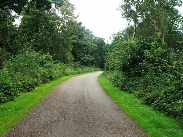 Image, UK, England, Notts, Clumber Park, route 6 between Clumber Bridge and South Lodge