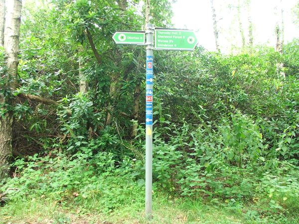 Image, UK, England, Notts, Robin Hood Way (route 6), South West border of the Clumber Park between South and Kingstand Lodges