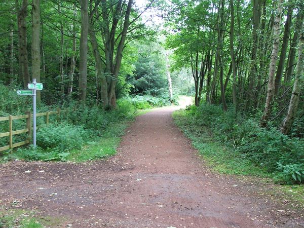 Image, UK, England, Notts, Robin Hood Way (route 6), South West border of the Clumber Park between South and Kingstand Lodges