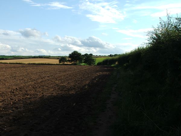 Image, UK, England, Notts, public foot path between North West corner of the Sherwood Forest and Market Warsop