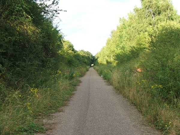 Image, UK, England, Notts, public foot path between Warsop Vale and Shirebrook