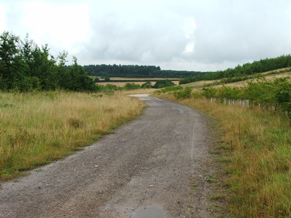 Image, UK, England, Derbyshire, public foot path between Frithwood Farm and Creswell Crags