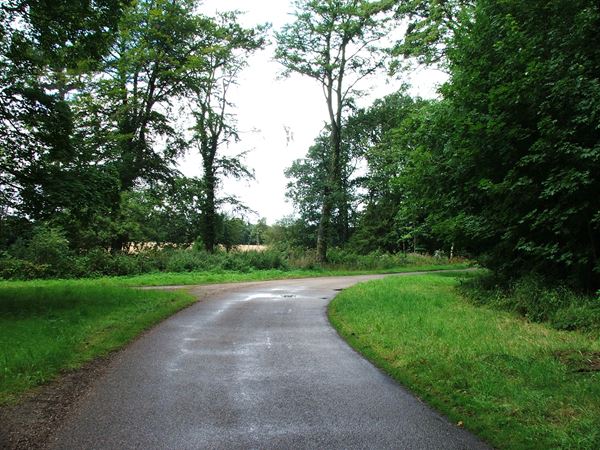 Image, UK, England, Notts, Welbeck Abbey, Robin Hood Way from Main Gates Lodge to Deer Park