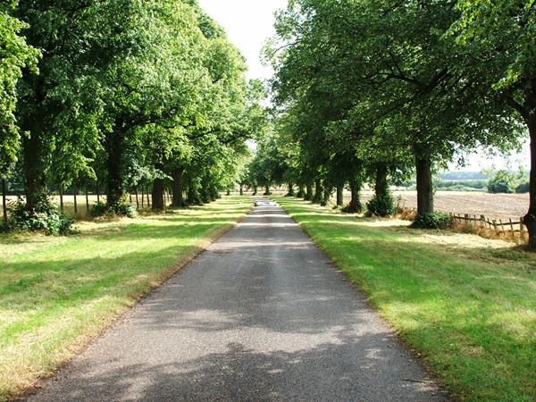 Image, UK, England, Notts, Welbeck Abbey, Robin Hood Way, the South border of the Deer Park