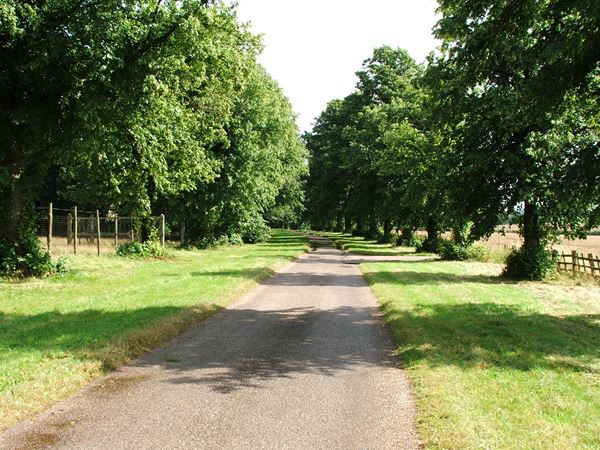 Image, UK, England, Notts, Welbeck Abbey, Robin Hood Way, the South border of the Deer Park