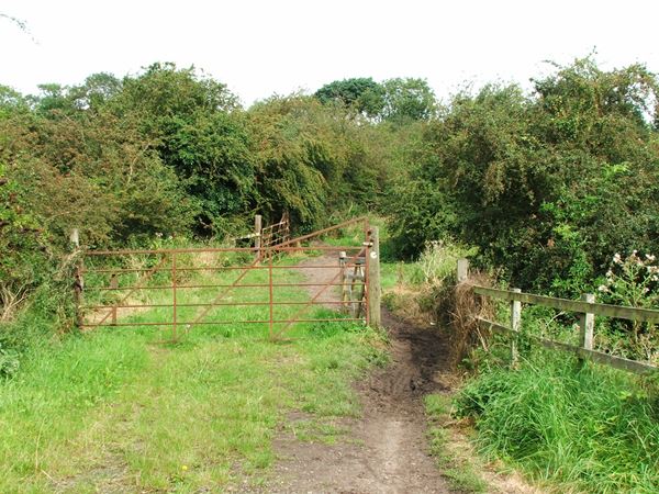 Image, UK, England, Notts, public foot path from Warren Farm to River Maun