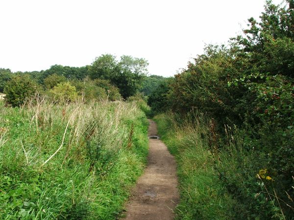 Image, UK, England, Notts, public foot path from along the bank of the River Maun to Clipstone