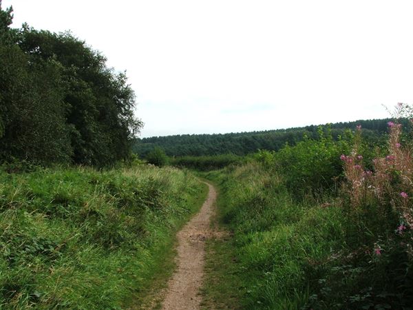 Image, UK, England, Notts, public foot path from along the bank of the River Maun to Clipstone