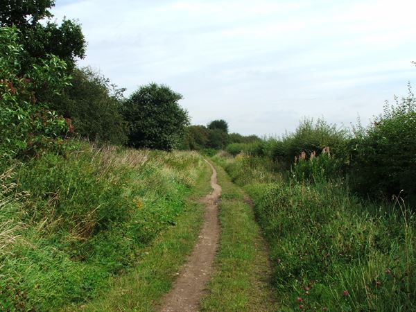 Image, UK, England, Notts, public foot path from along the bank of the River Maun to Clipstone