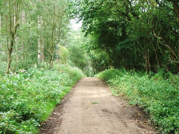 Image, UK, England, Notts, public foot path from the River Maun to Clipstone Drive