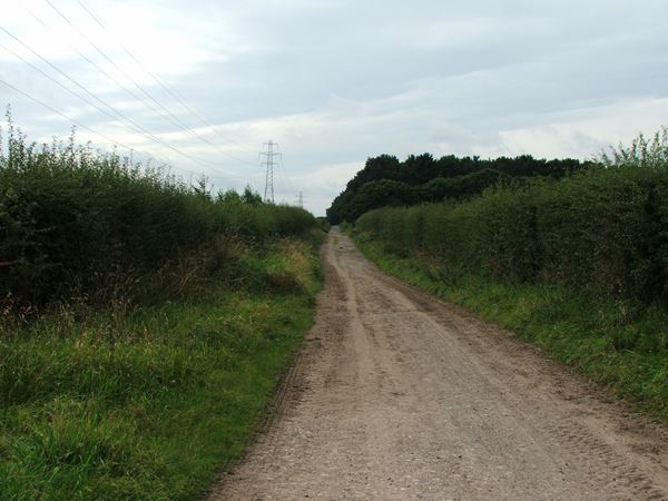 Image, UK, England, Notts, public foot path on Clipstone Drive to Cavendish Lodge