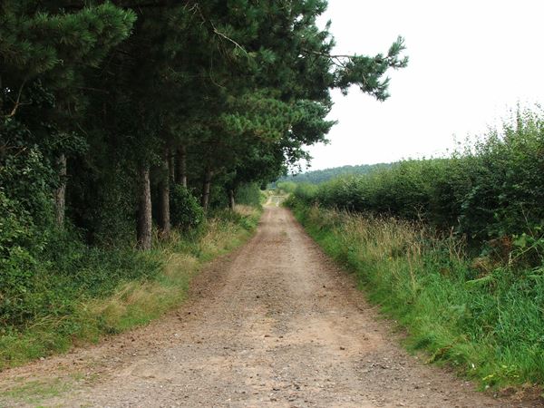 Image, UK, England, Notts, public foot path on Clipstone Drive to Cavendish Lodge
