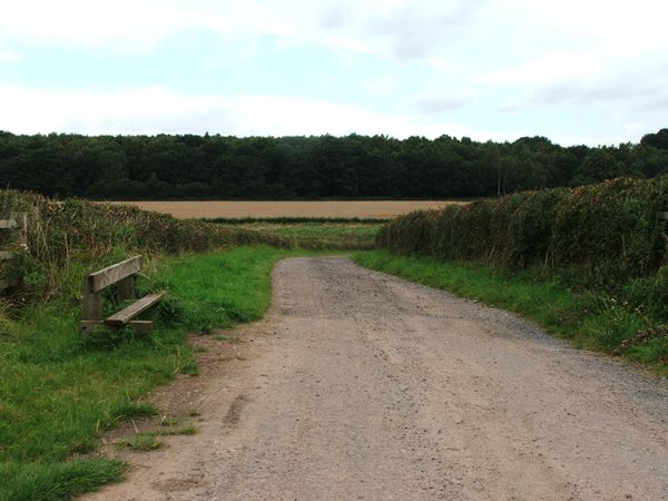 Image, UK, England, Notts, route 6 between Kings Clipstone and A6075