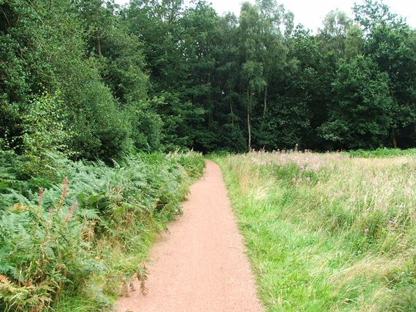 Image, UK, England, Notts, route 6 South West border of the Sherwood Forest 