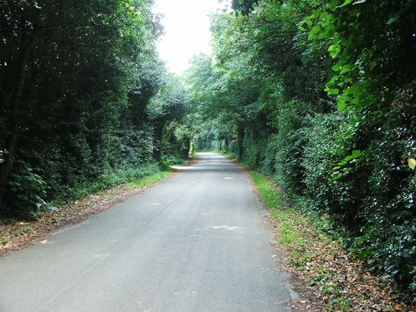 Image, UK, England, Bassetlaw, Old Coach Road near Worksop College