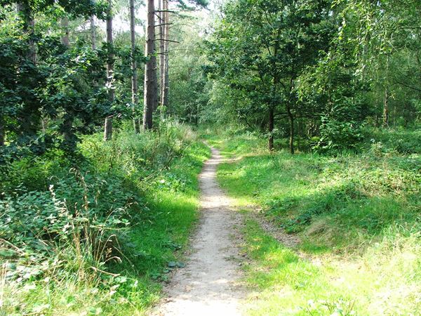 Image, UK, England, Bassetlaw, The North East corner of the Clumber Park