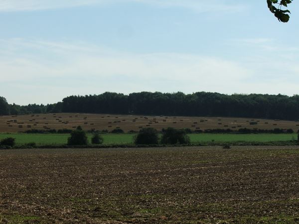 Image, UK, England, Bassetlaw, The North East corner of the Clumber Park