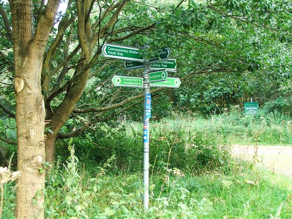 Image, UK, England, Notts, route 6 from Kingstand Lodge to Sherwood Forest
