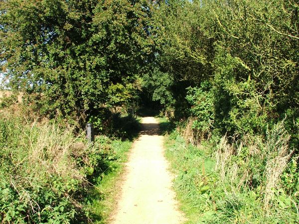 Image, UK, England, Derbyshire, public foot path along Pleasley Vale