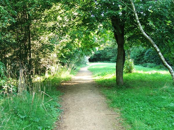Image, UK, England, Derbyshire, public foot path along Pleasley Vale