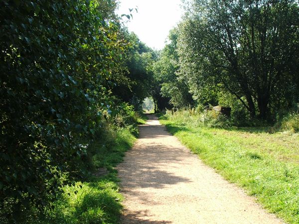 Image, UK, England, Notts, Teversal Trail (Pleasley Trails Network)