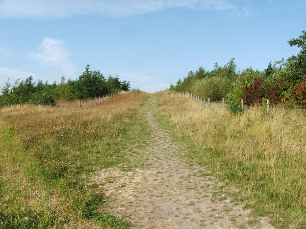 Image, UK, England, Derbyshire, Pleasley Pit Country Park