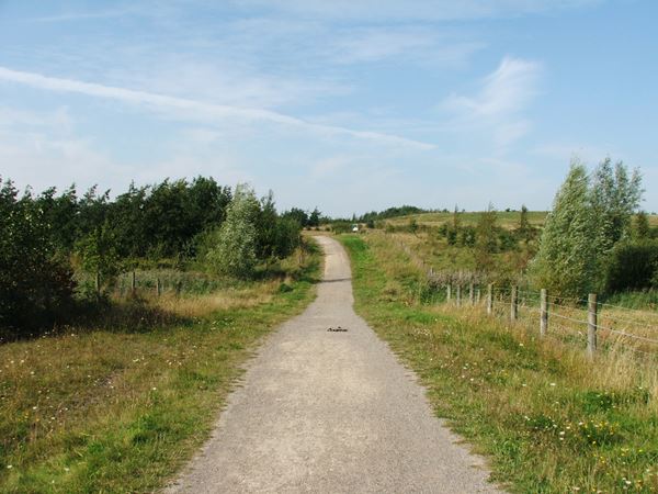 Image, UK, England, Derbyshire, Pleasley Pit Country Park