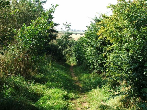 Image, UK, England, Derbyshire, Pleasley Pit Country Park