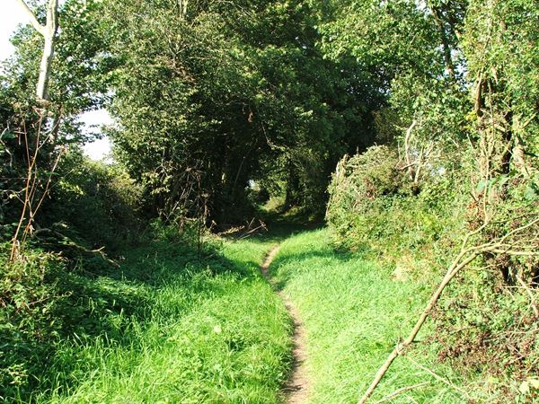 Image, UK, England, Derbyshire, public foot path Greer Lane